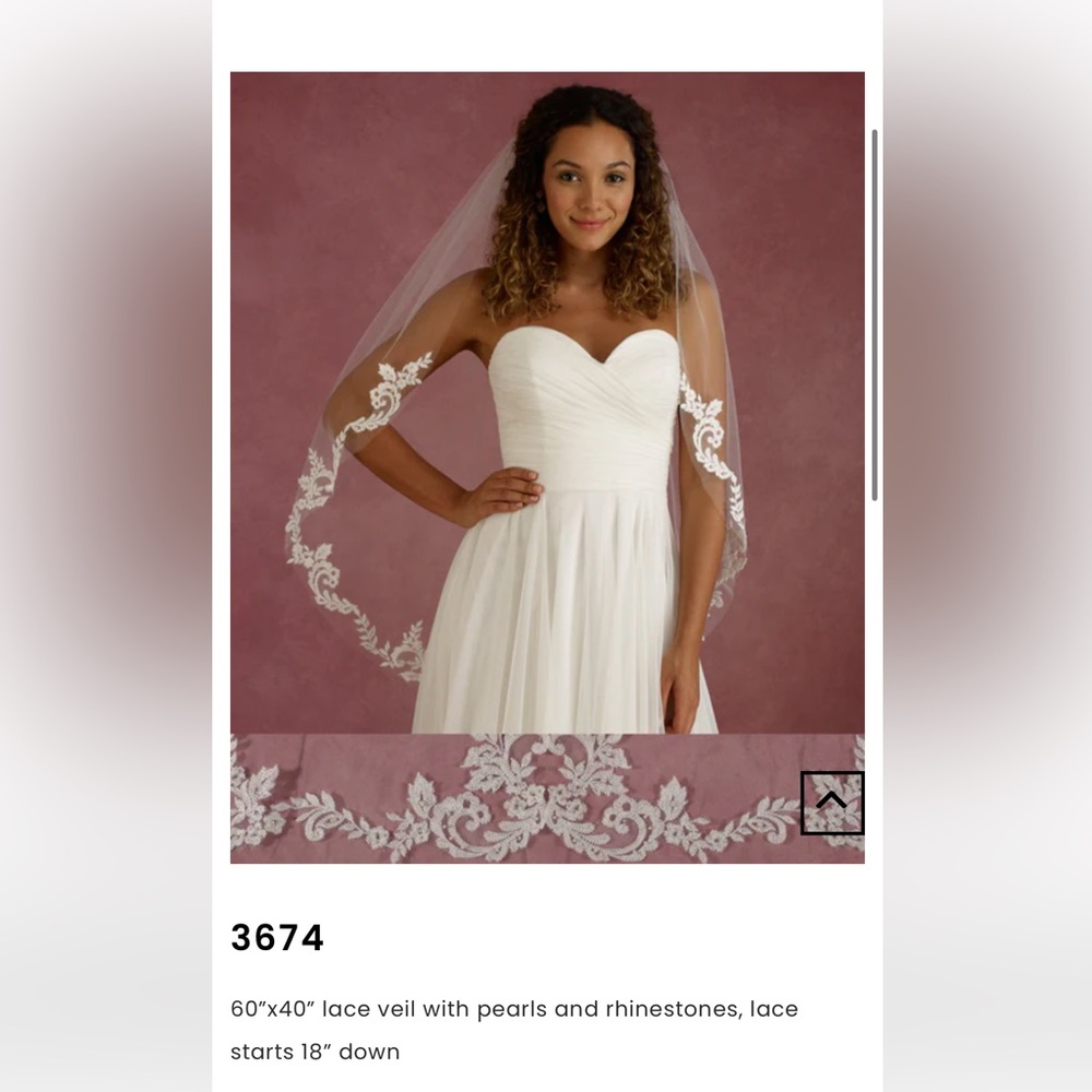 Lace-Edged Bridal Veil in Ivory